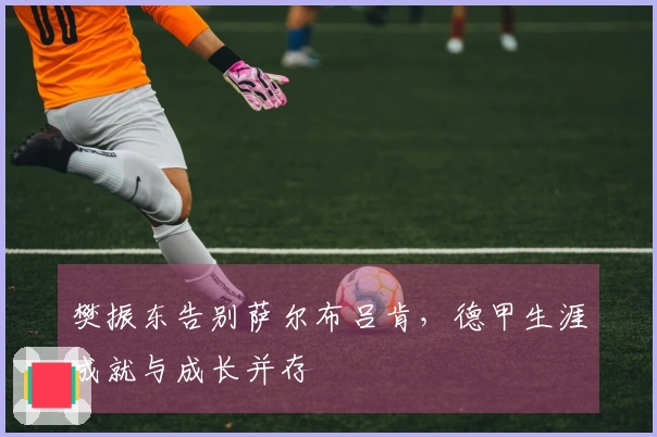 樊振东告别萨尔布吕肯，德甲生涯成就与成长并存