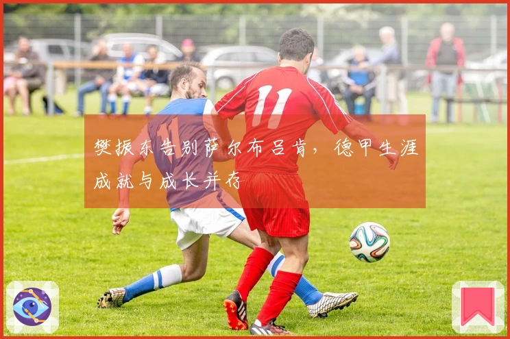 樊振东告别萨尔布吕肯，德甲生涯成就与成长并存